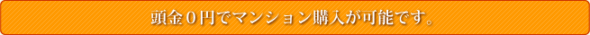 頭金0円でマンション購入が可能です。
